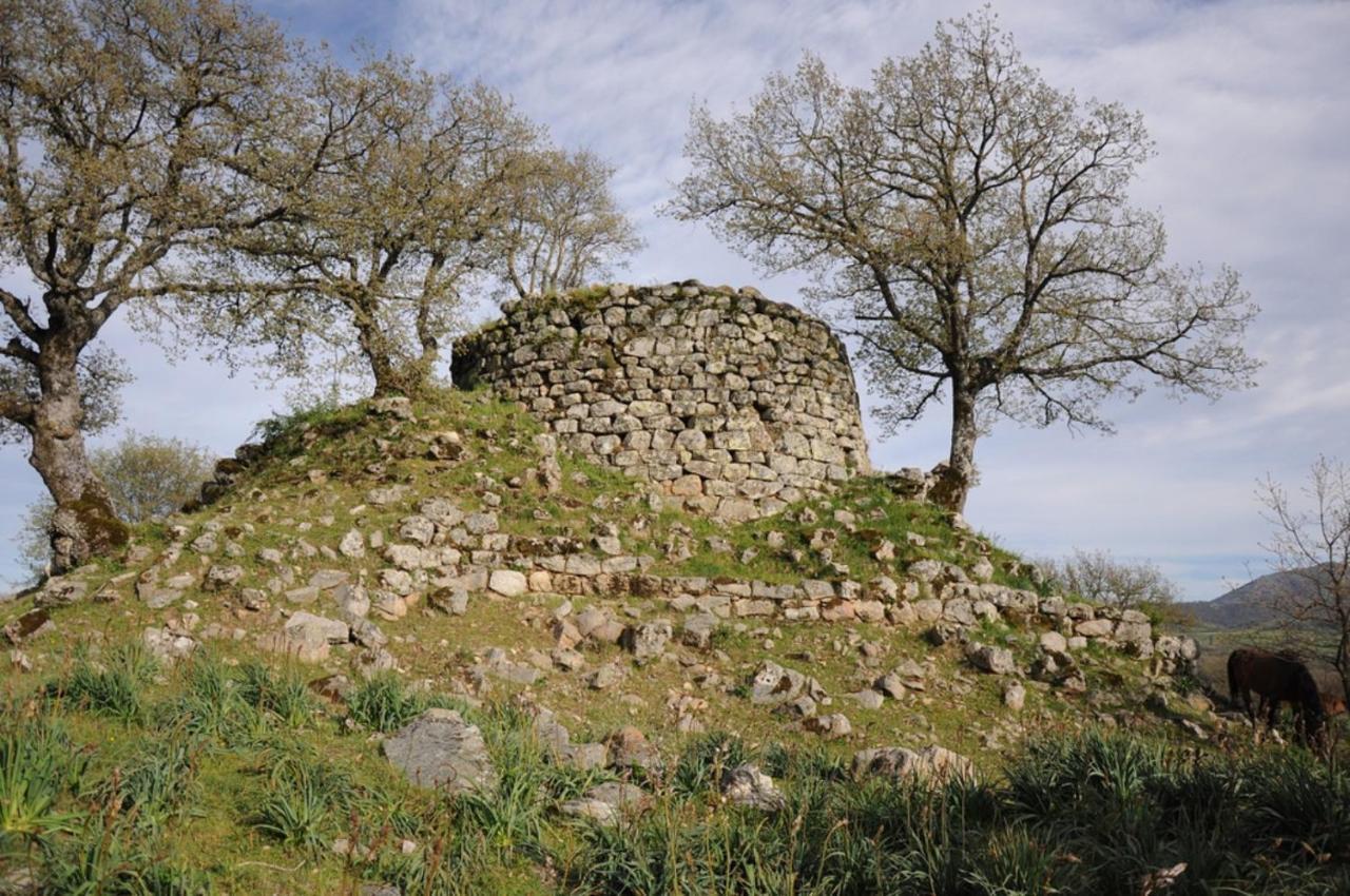 L Agrifoglio Di Rita Loddo Leilighet Fonni Eksteriør bilde